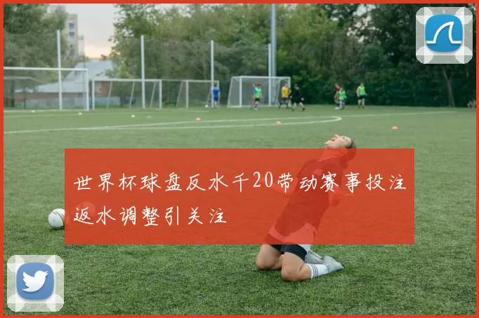 世界杯球盘反水千20带动赛事投注返水调整引关注