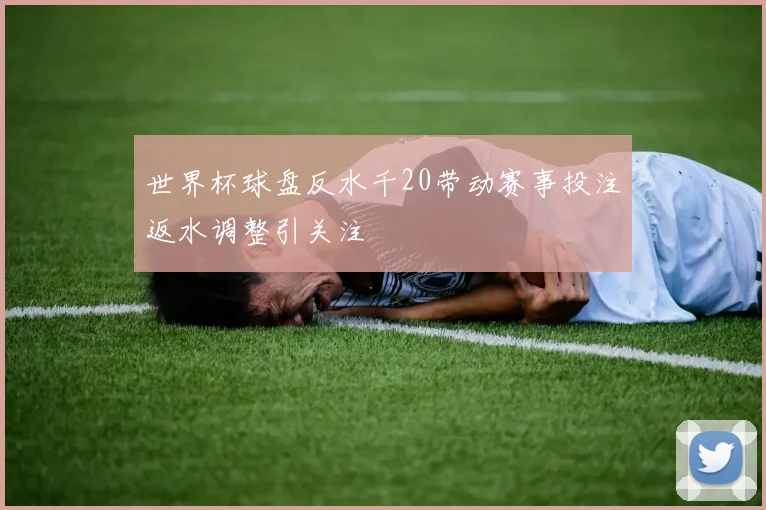 世界杯球盘反水千20带动赛事投注返水调整引关注