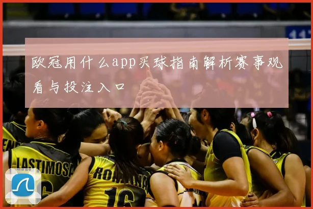 欧冠用什么app买球指南解析赛事观看与投注入口