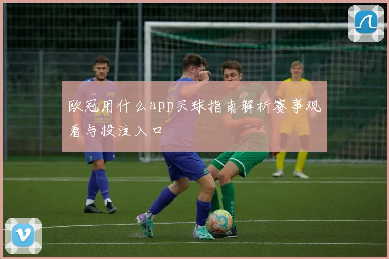 欧冠用什么app买球指南解析赛事观看与投注入口