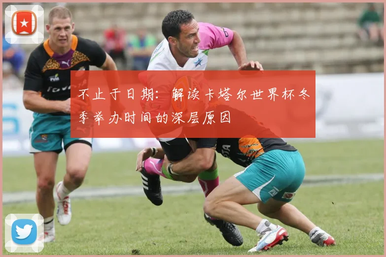 不止于日期：解读卡塔尔世界杯冬季举办时间的深层原因