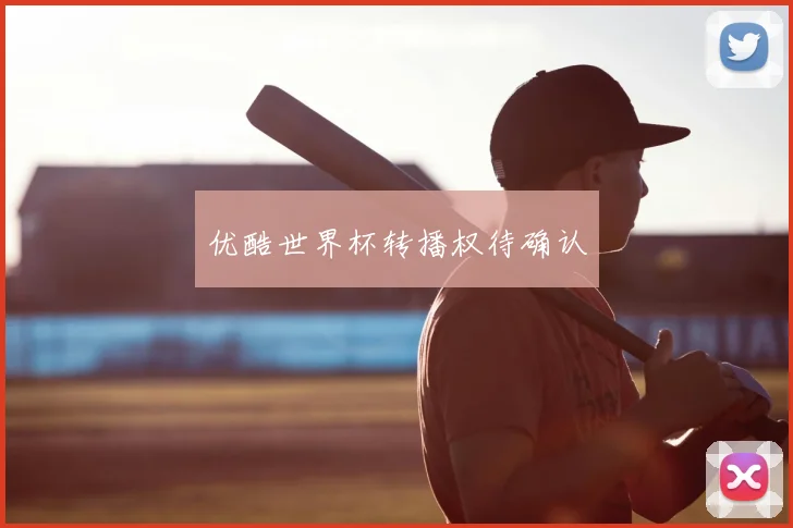 优酷世界杯转播权待确认