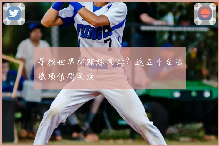 寻找世界杯赌球网站?这五个合法选项值得关注