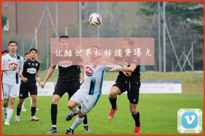 优酷世界杯转播费曝光