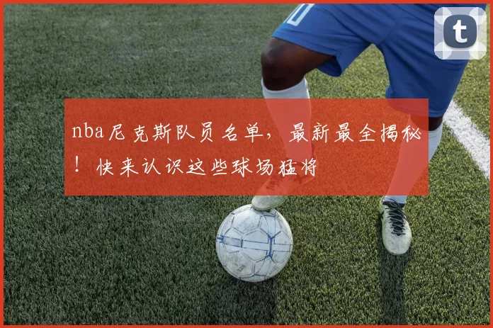 nba尼克斯队员名单,最新最全揭秘!快来认识这些球场猛将