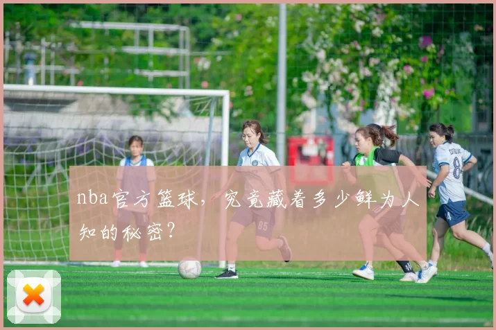 nba官方篮球,究竟藏着多少鲜为人知的秘密?